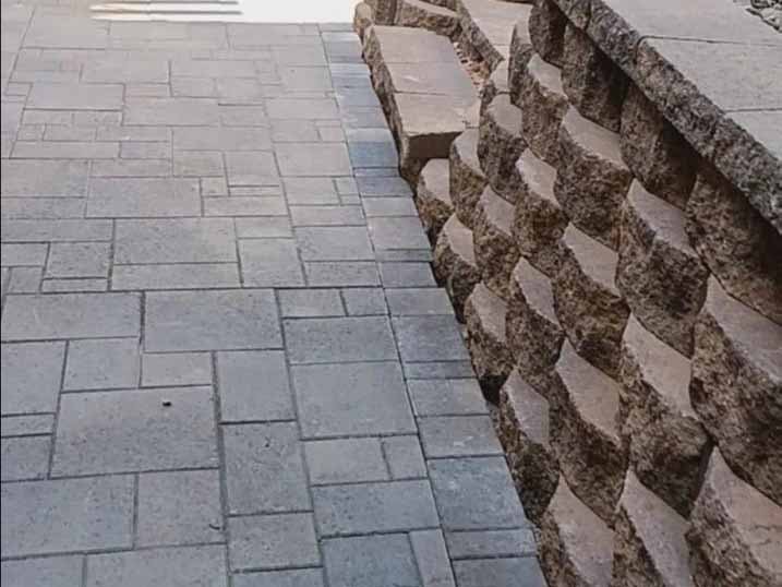 Quetzalito Tree Service